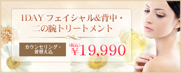 1DAY　フェイシャル&背中・二の腕トリートメント（カウンセリング・着替え込）