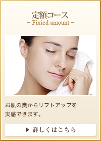 定額コース