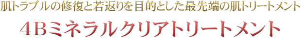 4Bミネラルクリアトリートメント